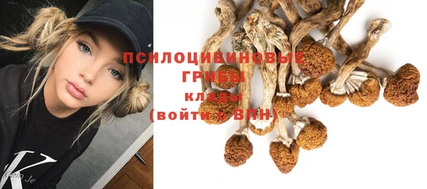бутират Алзамай